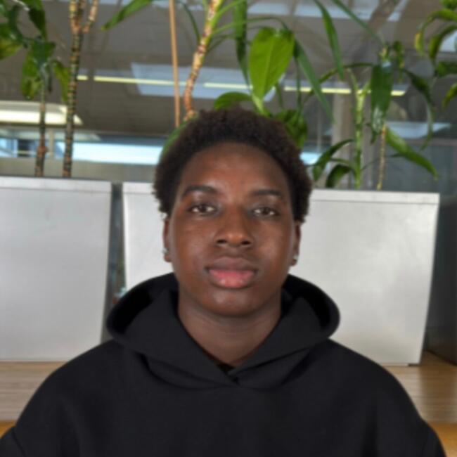 Babysitter in Steinfort: Moussa