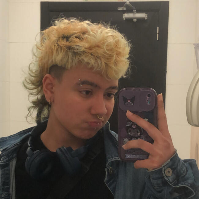 Babysitter em Vila Franca de Xira: Silva