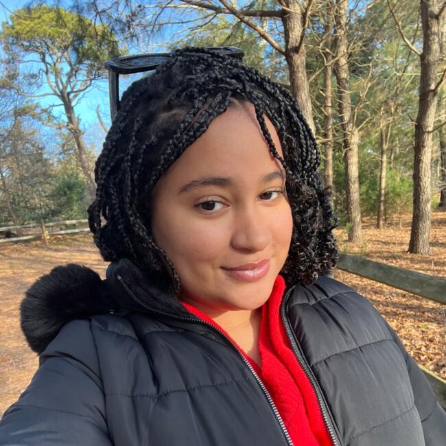 Nanny in Blackwood: Lisairy