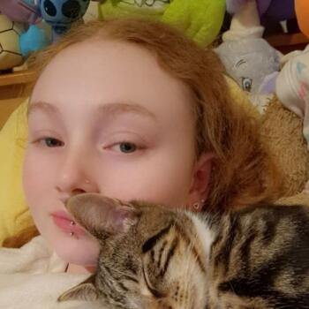 Babysitter Hull: Bailey