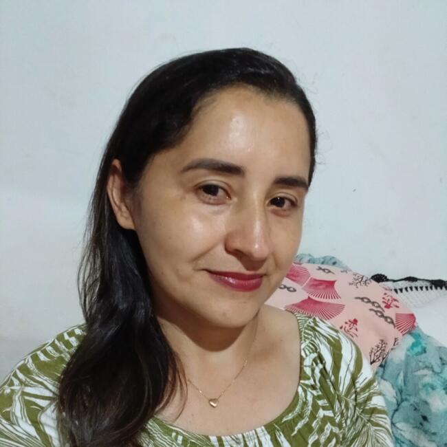 Babysitter in Luziânia: Aneci