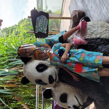 Babysitting job in Singapore: babysitting job Su Pa