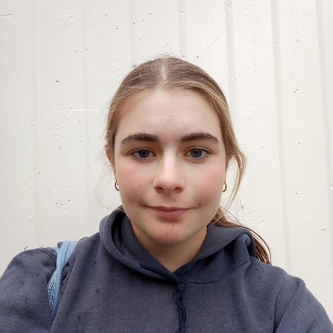 Babysitter in Hamilton: Alice