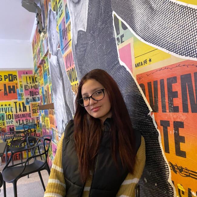 Niñera en Ciudad de Santa Fe: Silvana