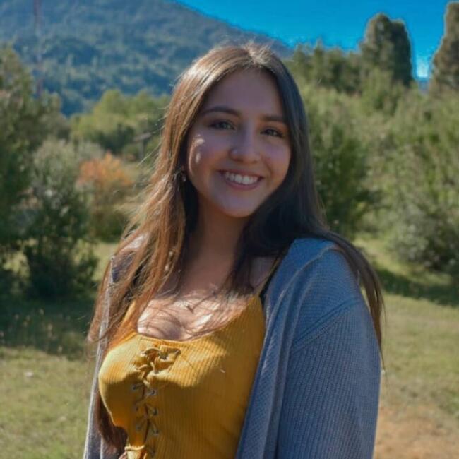 Babysitting job in Puerto Varas: Daniela