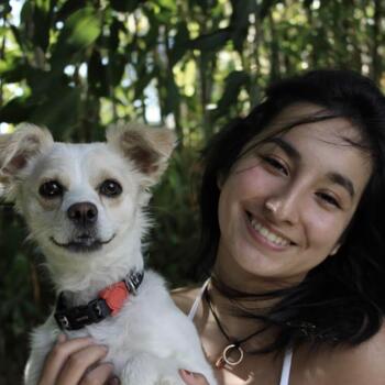Babysitter in Concepción: Denisse tapia