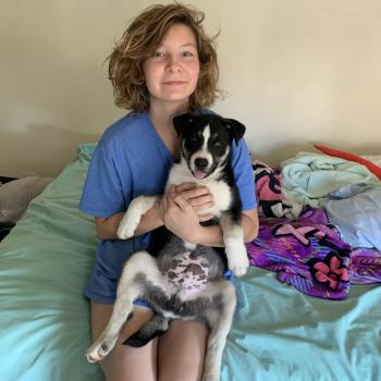 Babysitter in Fountain Valley: Allyson