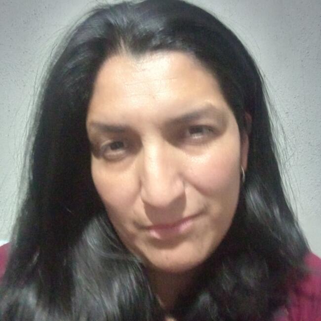 Niñera en Ciudad de México: Lilia Silva Jiménez