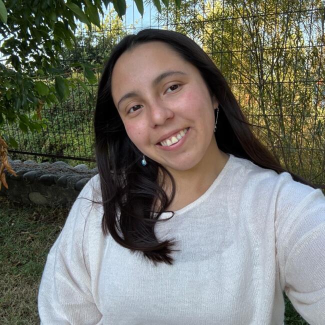 Babysitter in Temuco: Anita