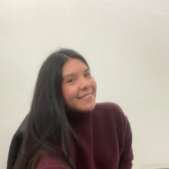 Babysitter in Santiago: Ana Albarran