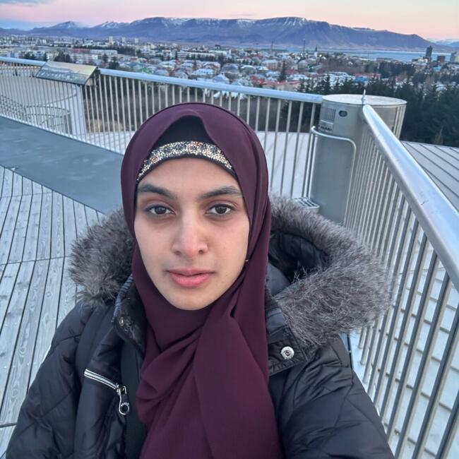 Babysitter in Bellevue: Adiba