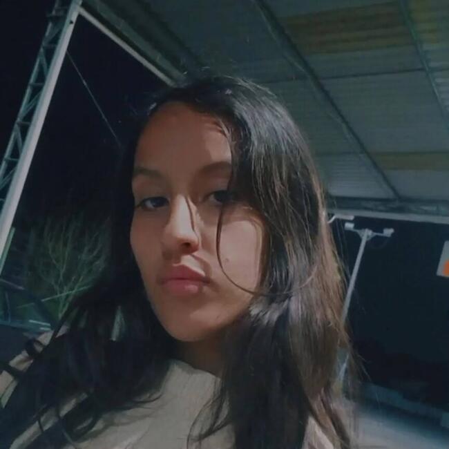 Babysitter in Camboriú: Beatriz