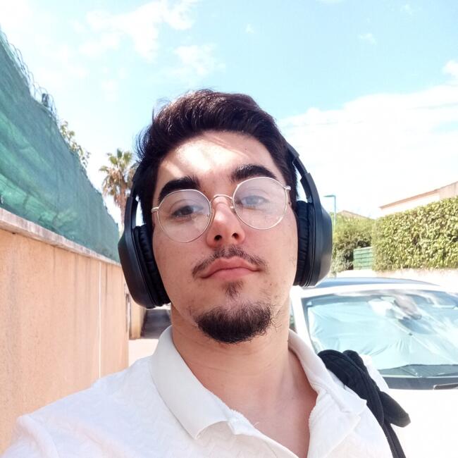 Babysitter in Villeneuve-lès-Maguelone: Raphael