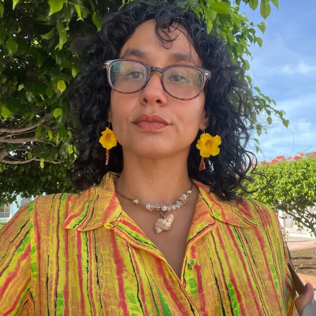 Babysitter in Ponce: Norymar