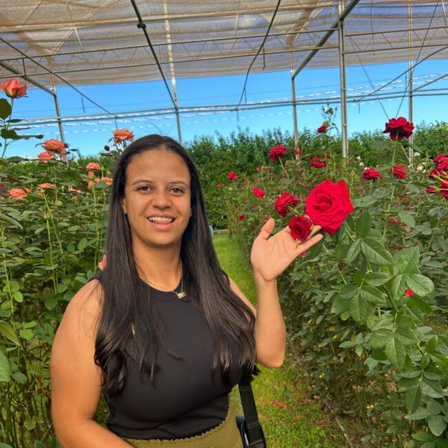 Babysitter in Leiria: Luciana