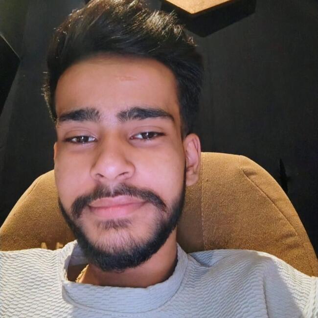 Babysitter in Delhi: Manush