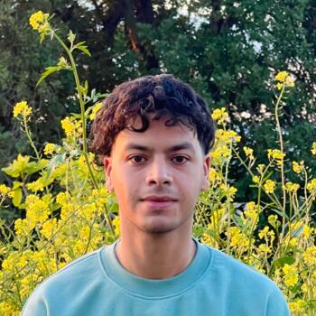 Babysitter in Halle (Saale): Sofyane