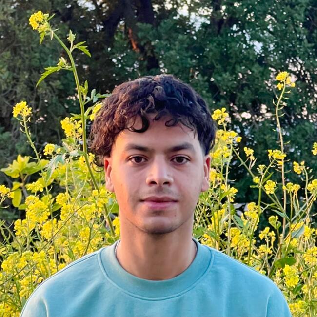 Babysitter in Halle: Sofyane