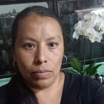 Babysitter Mexico City: Irma