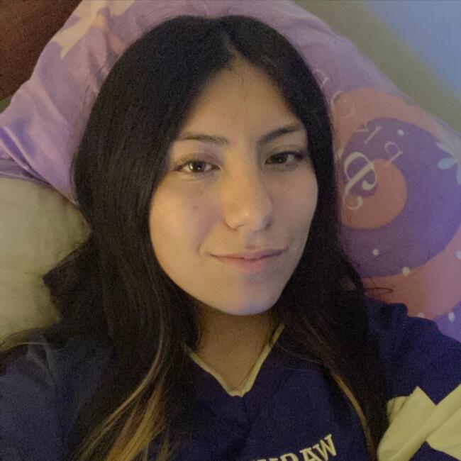 Niñera en Villa Alemana: Andrea Ignacia Ahumada Reyes