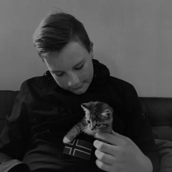 Babysitter Bergschenhoek: Finn