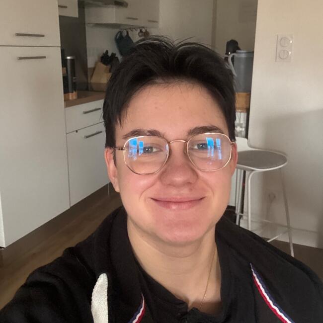 Babysitter in Béziers: Romain