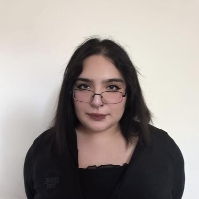 Babysitter in Santiago: Karen