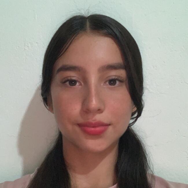 Niñera en Ibagué: Karen Martínez