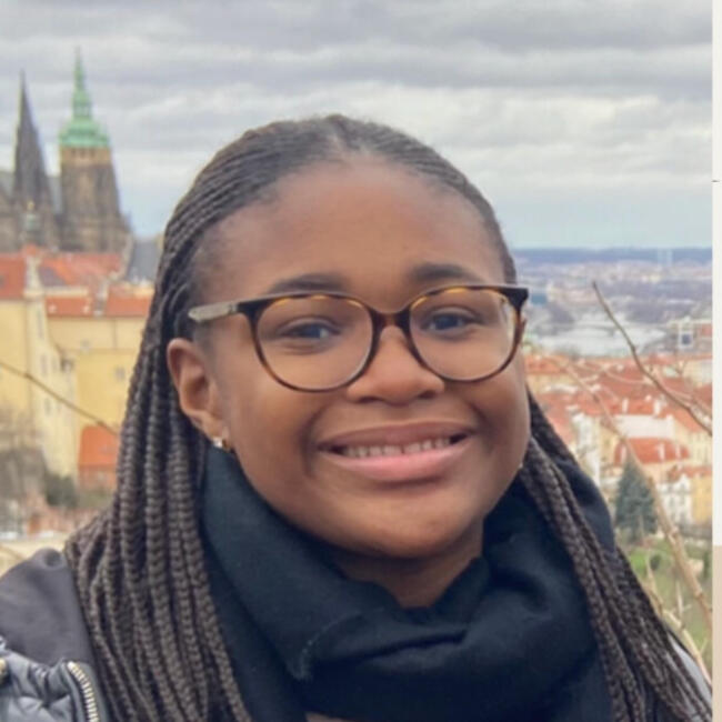 Babysitter in Anderlecht: Iman