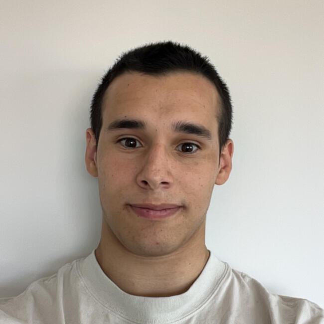 Babysitter in Auckland: Rouge