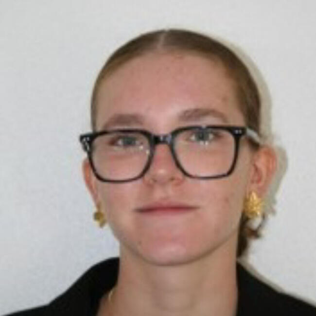 Babysitter in Vergezac: Romane