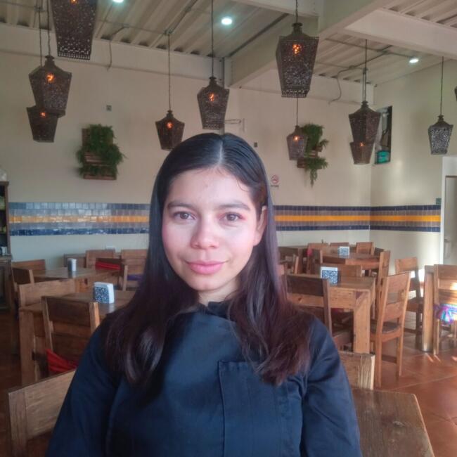 Niñera en Santiago de Querétaro: Areli