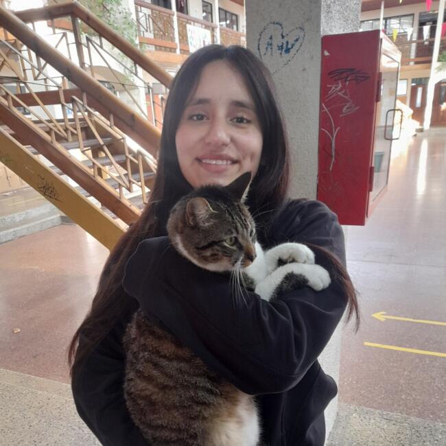 Babysitter in Temuco: Jimena