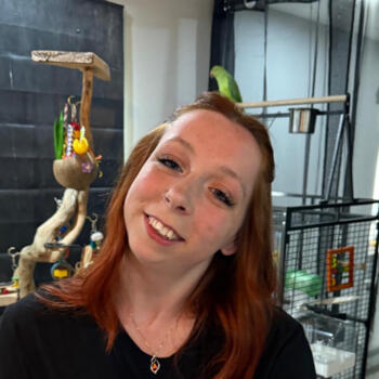 Babysitter in Walsall: Keira