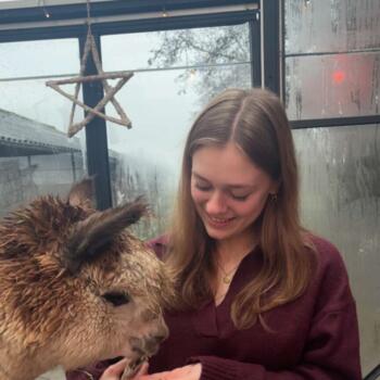 Babysitter Alkmaar: Jamie