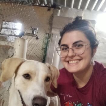 Babysitter in São Carlos: Giovana