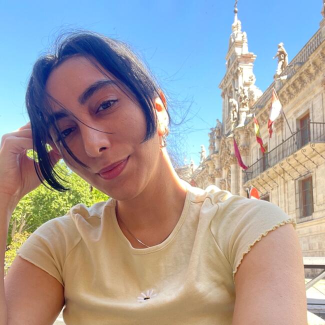 Babysitter in Valladolid: Fatemeh