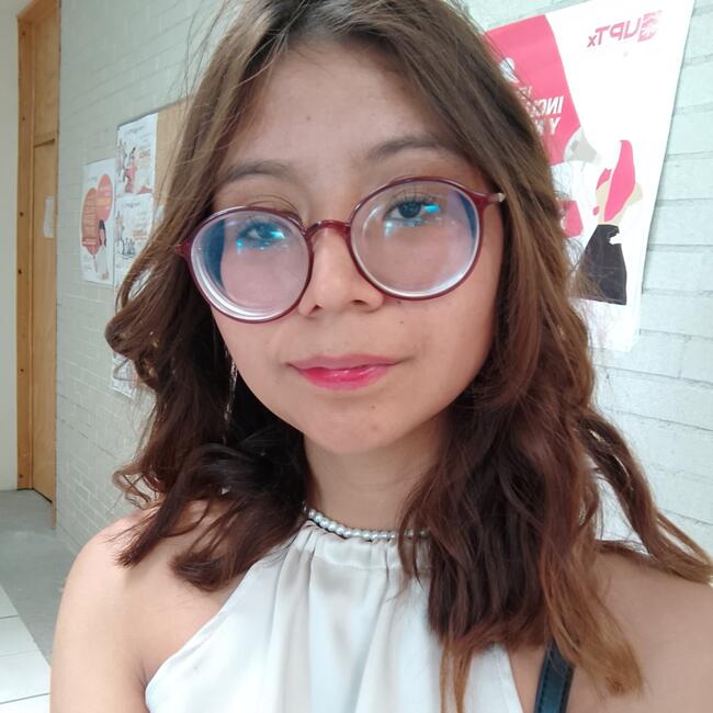 Babysitter in Apizaco: Alyn