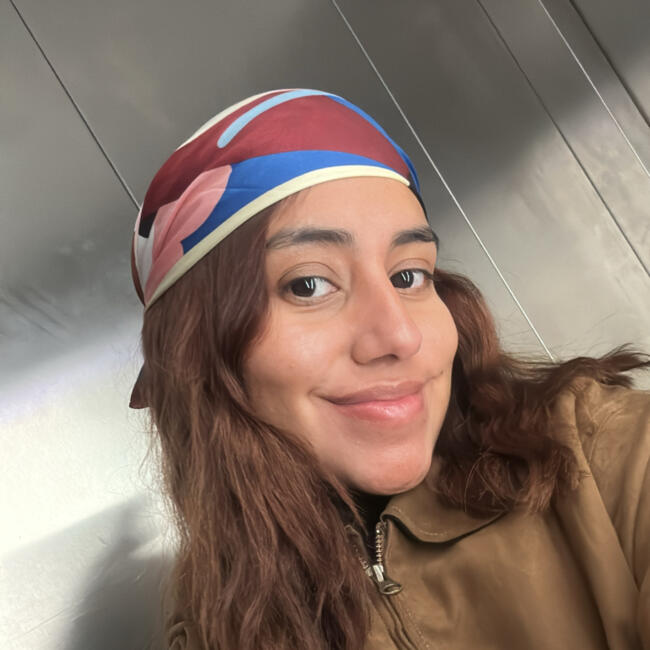 Babysitter i København: Ale