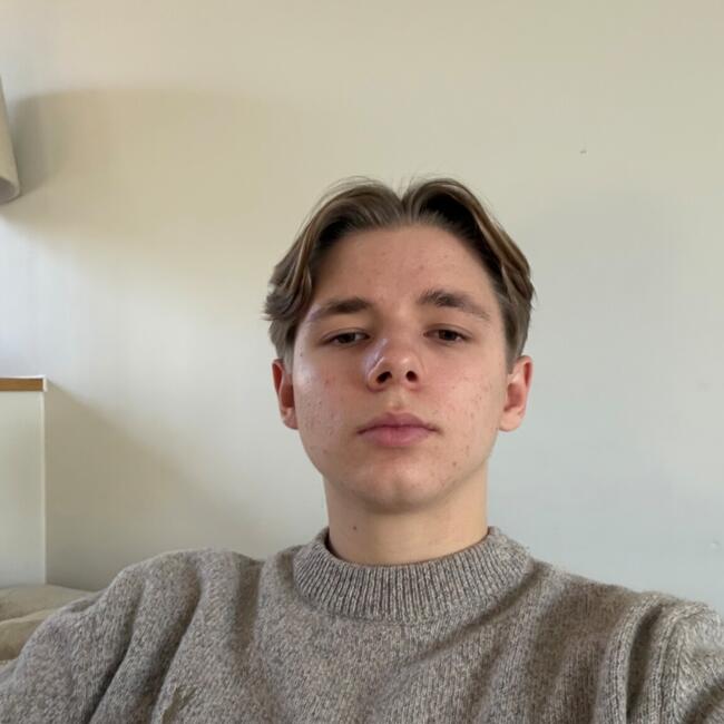 Babysitter in Kapellen: Thibo