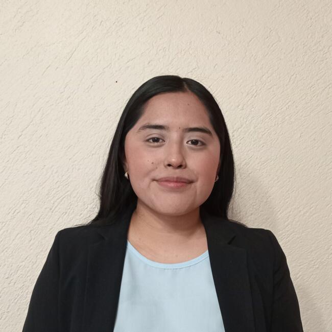 Niñera en Naucalpan de Juárez: Liliana Faustino