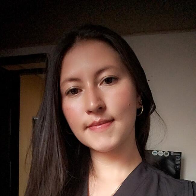 Babysitter in Mosquera: Francy catalina