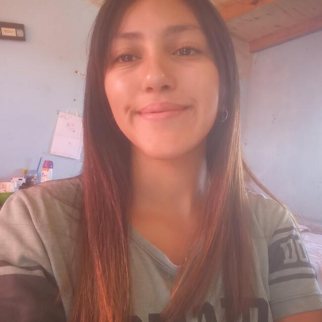 Babysitter in Ciudad del Libertador General San Martín: Pamela