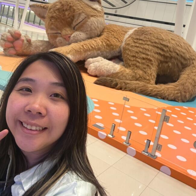 Babysitter in Kowloon Bay: Chingyi