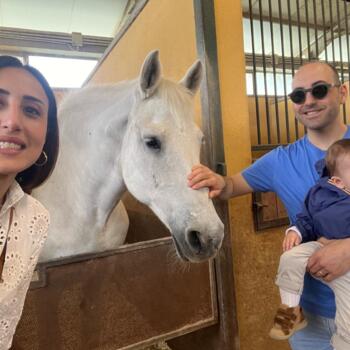 Babysitting job in Messina: babysitting job Benito