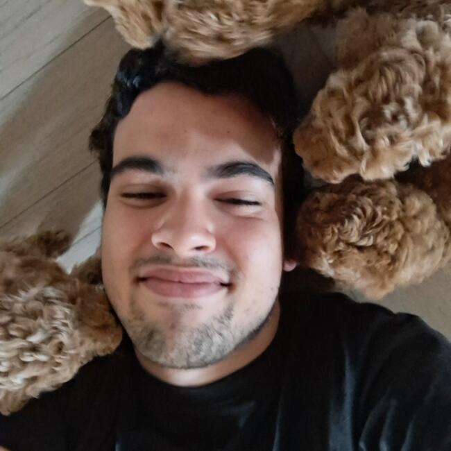 Babysitter in Brunete: Noel