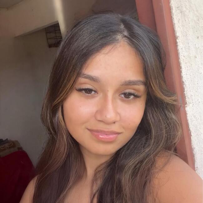 Babysitter in Guaratinguetá: Ana