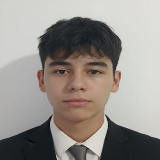 Babysitter in Palmira: Santiago