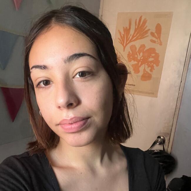 Babysitter in Santiago: Francisca