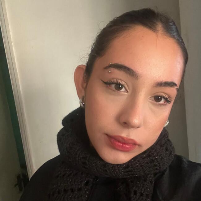 Babysitter in Santiago: Francisca